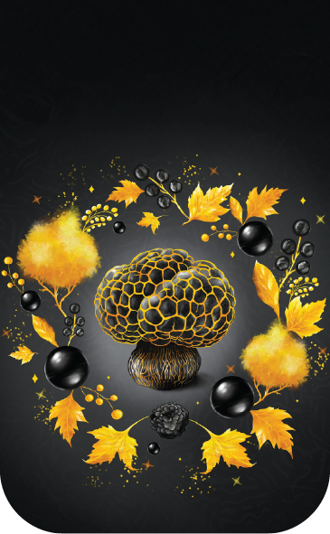 Златна мрежа