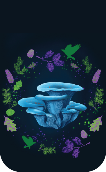 Лунни корали